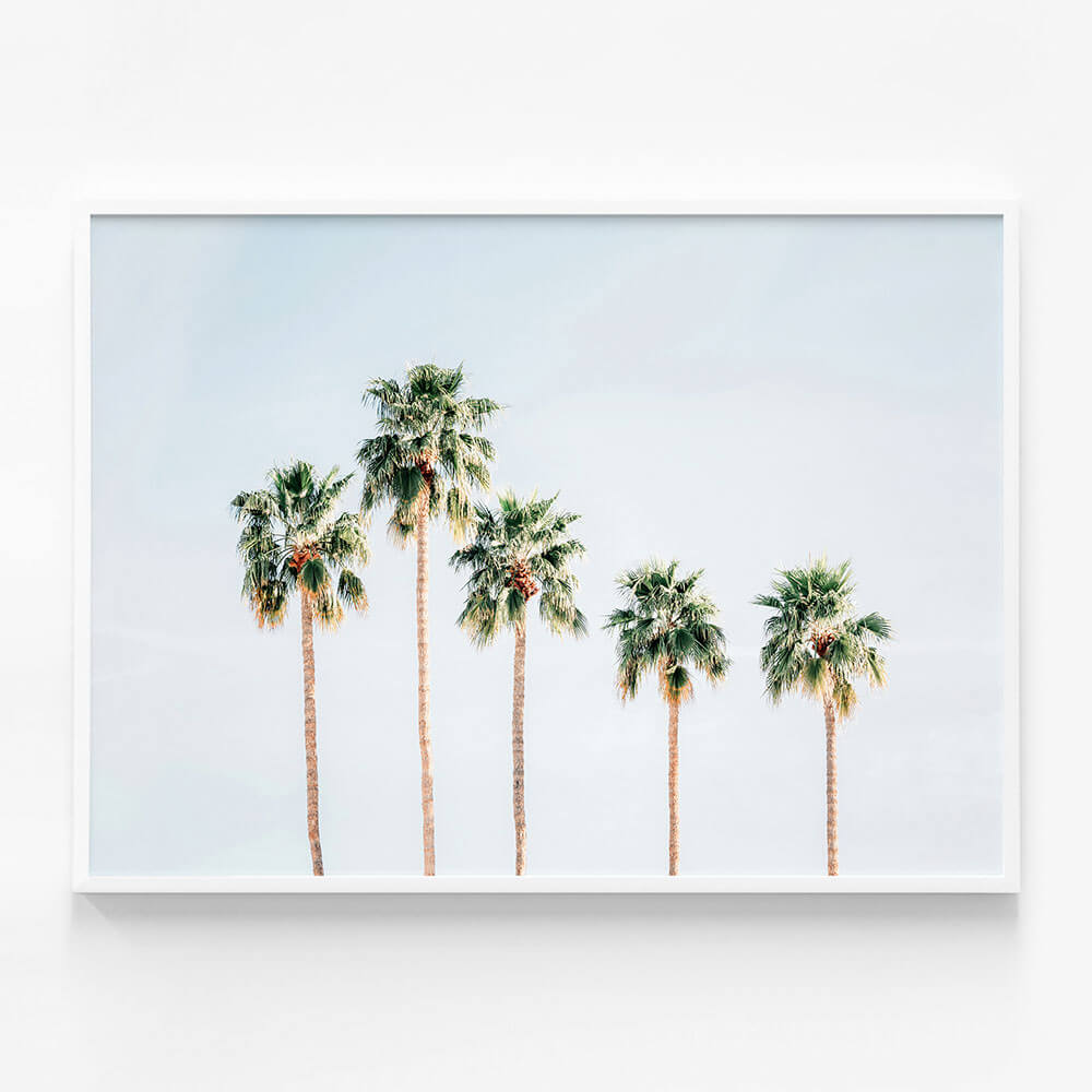 Palm Springs Sky