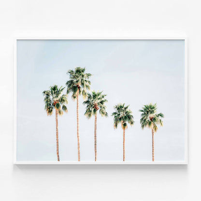 Palm Springs Sky