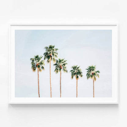 Palm Springs Sky