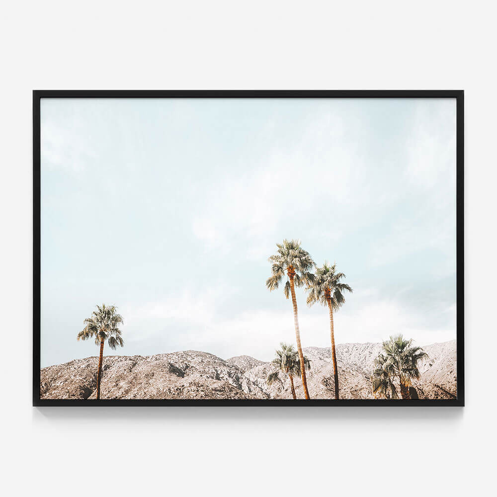 Palm Springs View