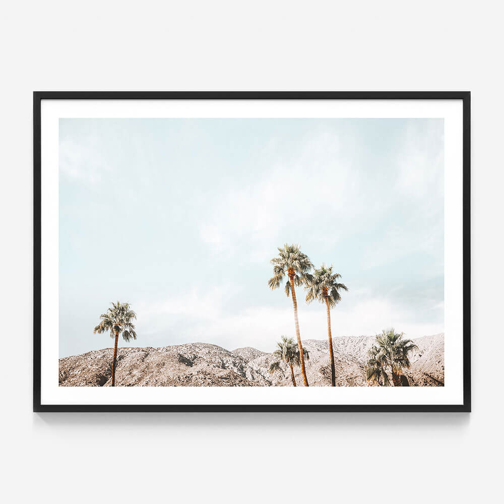 Palm Springs View