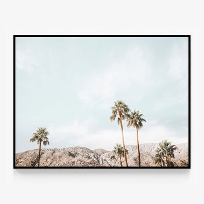 Palm Springs View Canvas