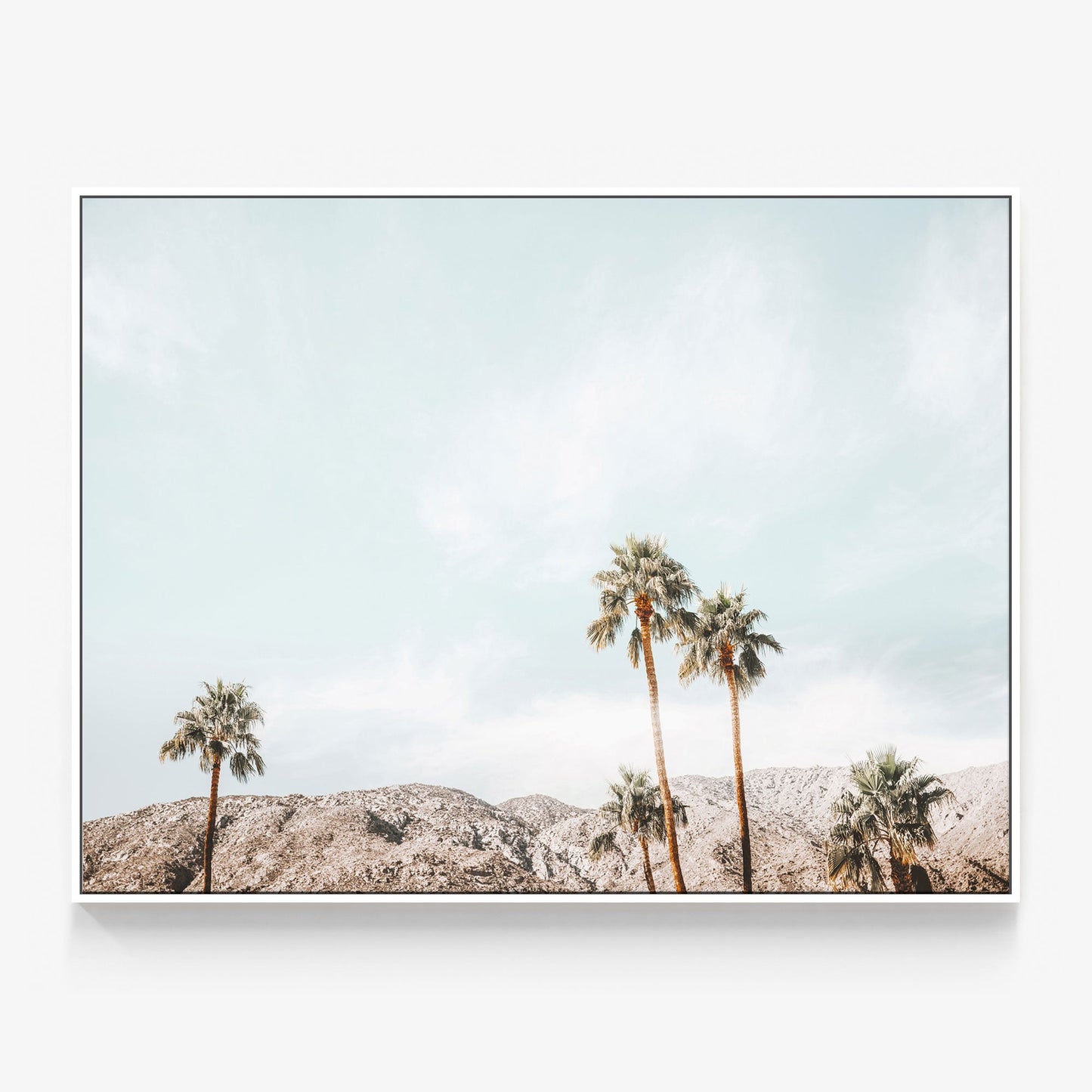 Palm Springs View Canvas