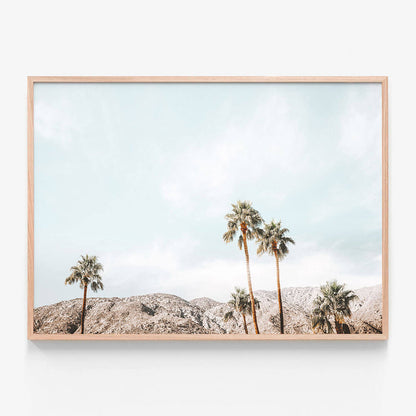 Palm Springs View