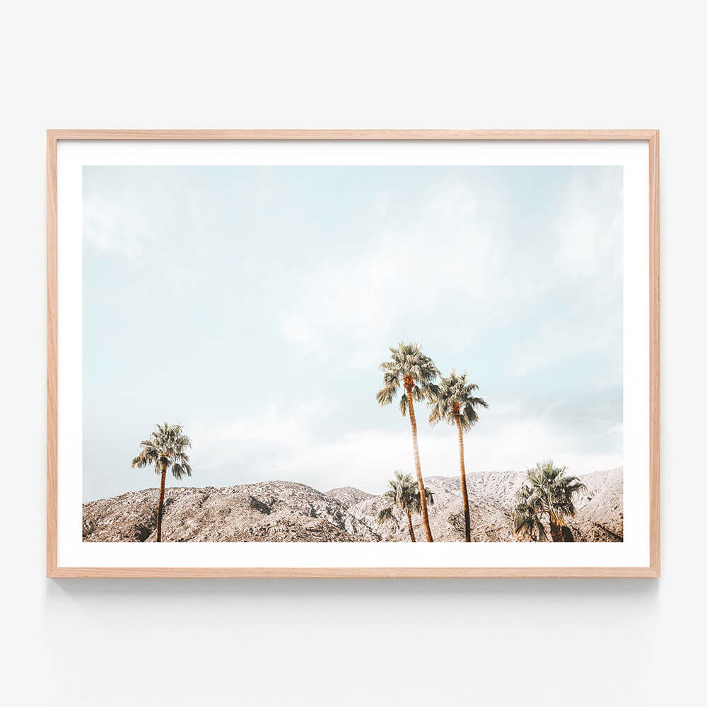 Palm Springs View