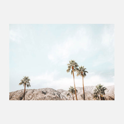 Palm Springs View