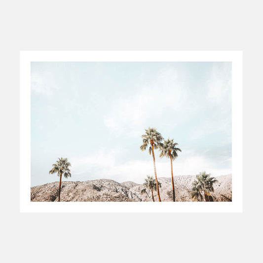 Palm Springs View