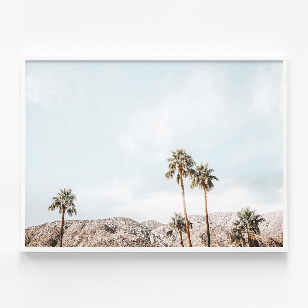 Palm Springs View
