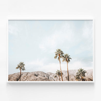 Palm Springs View