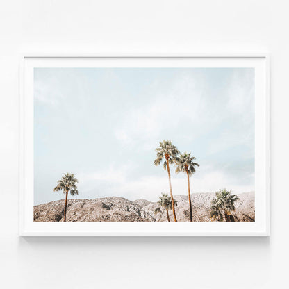 Palm Springs View