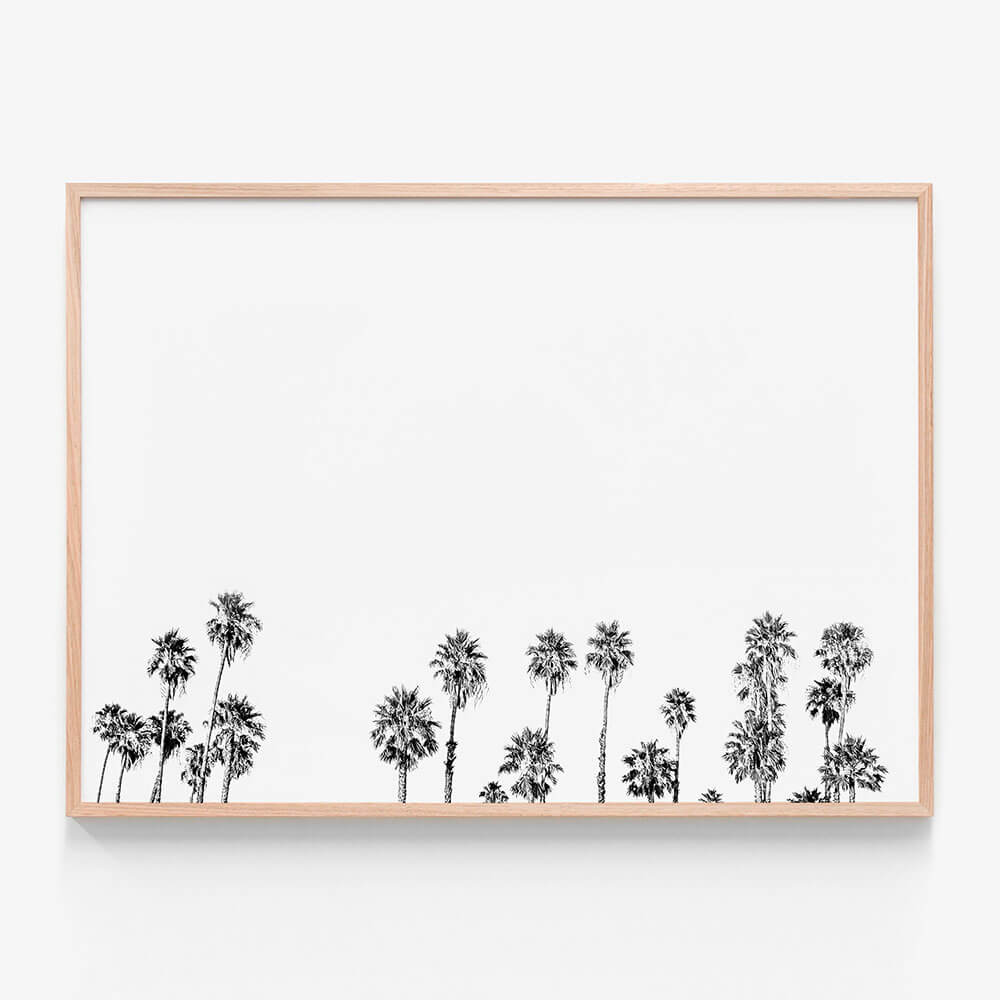 Palm Tops B&W