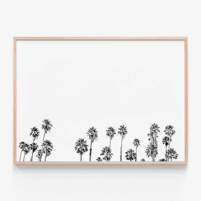 Palm Tops B&W