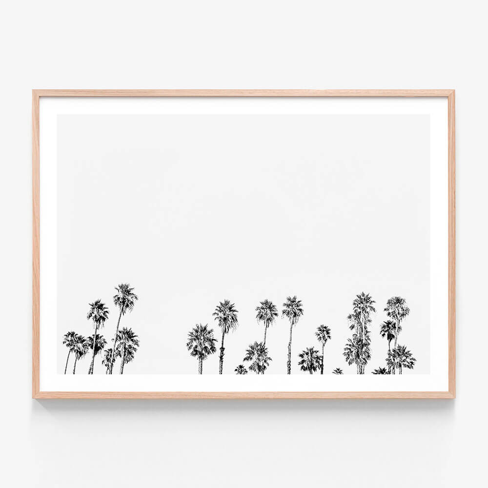 Palm Tops B&W