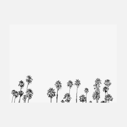 Palm Tops B&W