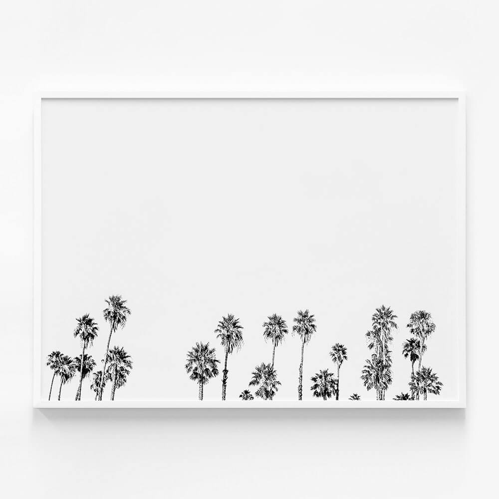 Palm Tops B&W
