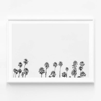 Palm Tops B&W