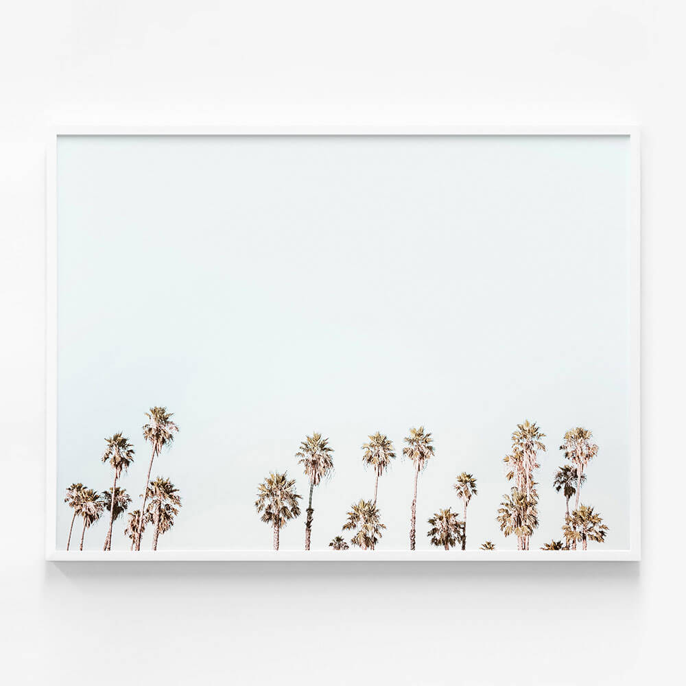 Palm Tops