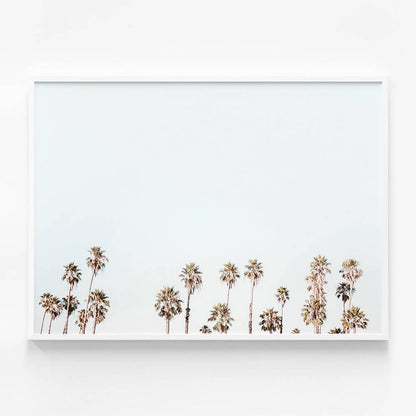 Palm Tops