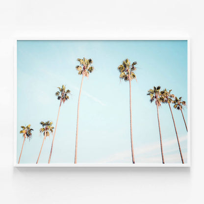 Palm View
