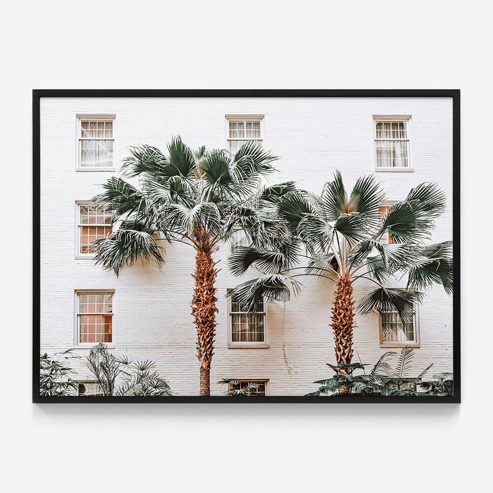 Palm Villa