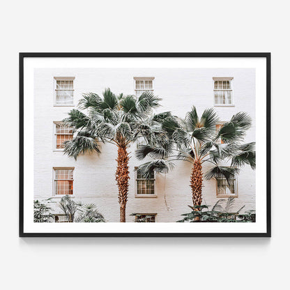 Palm Villa
