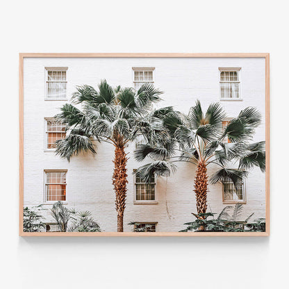 Palm Villa