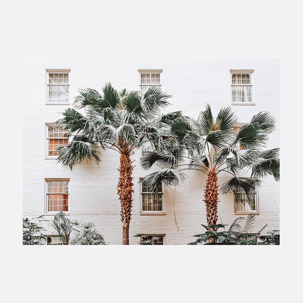 Palm Villa