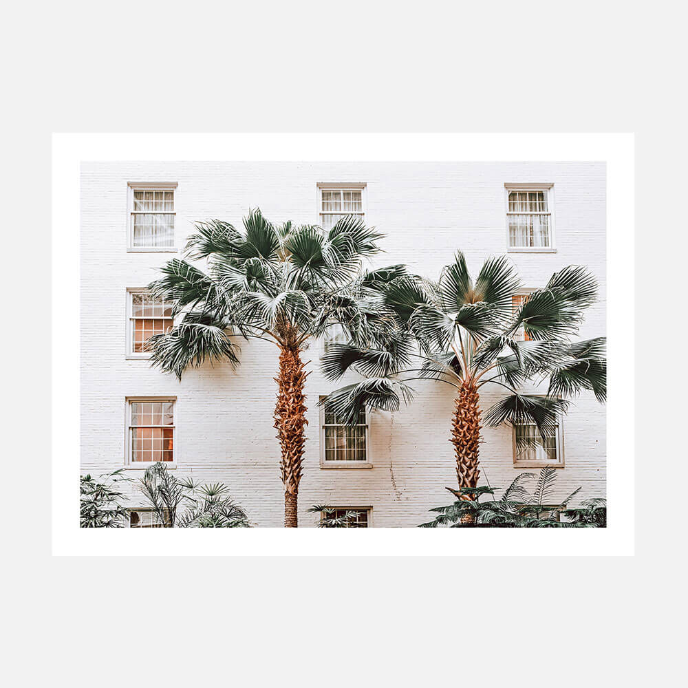 Palm Villa
