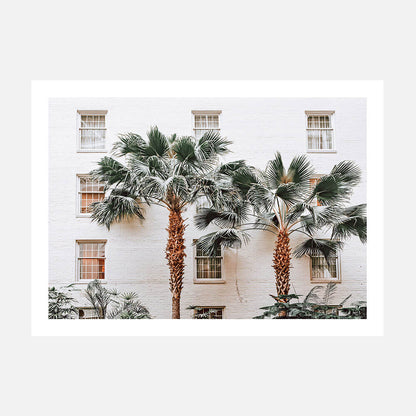 Palm Villa