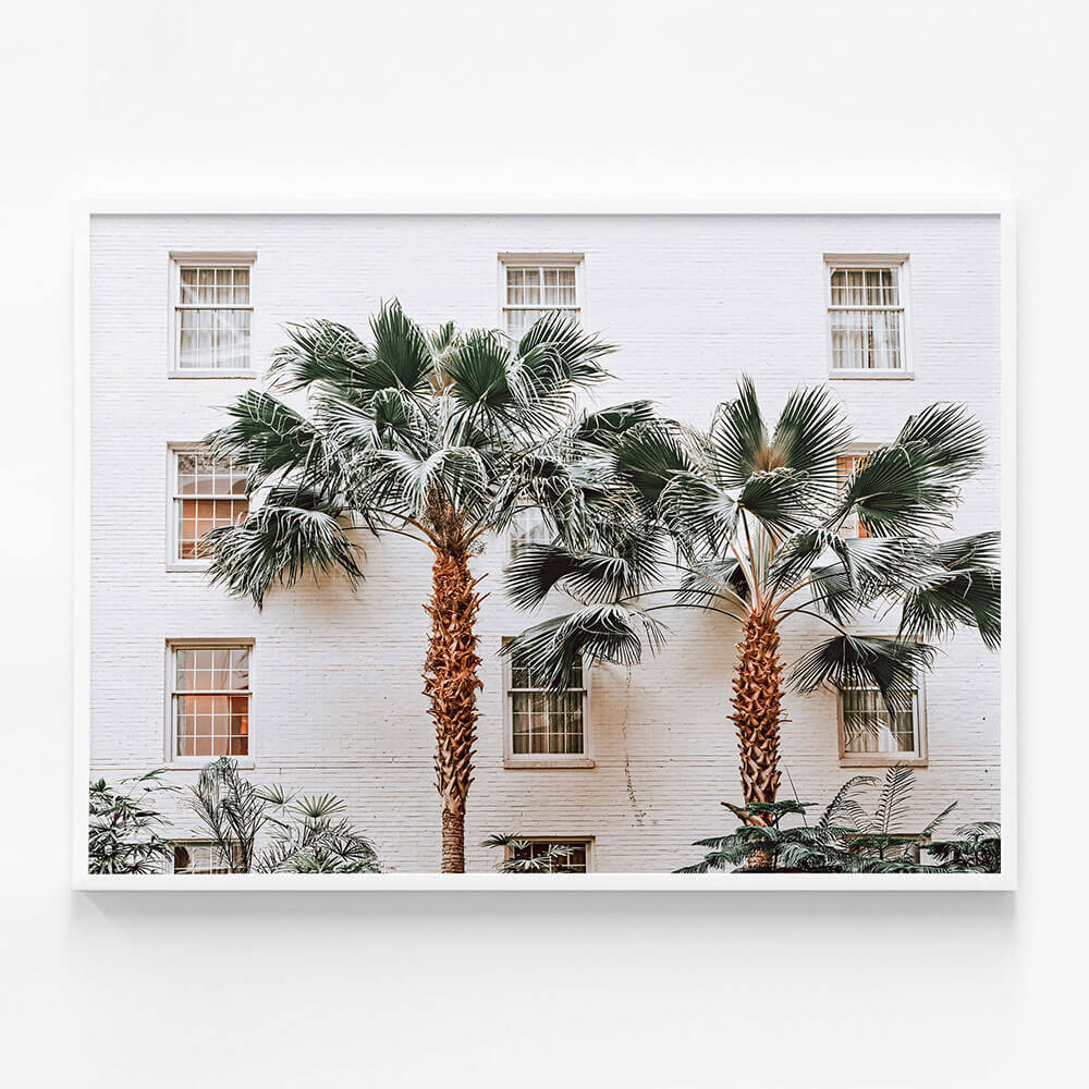 Palm Villa