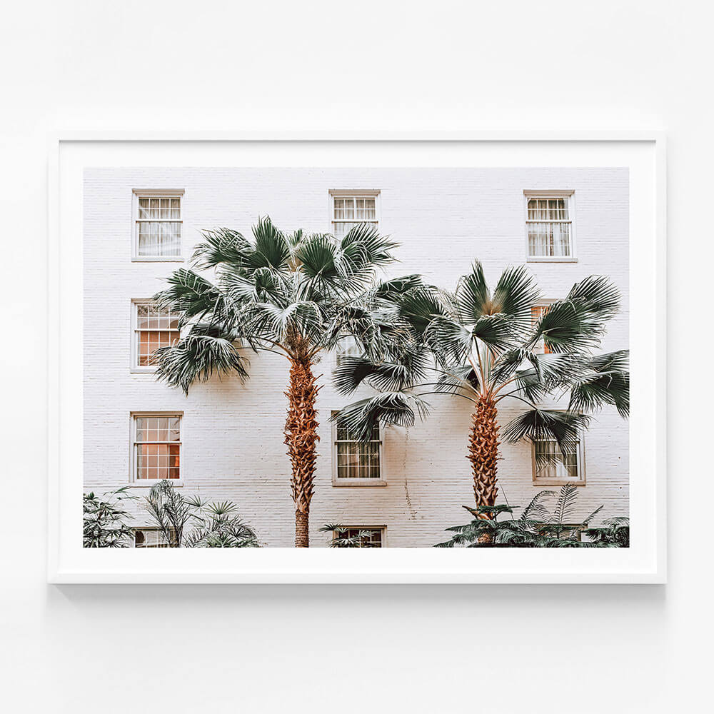 Palm Villa