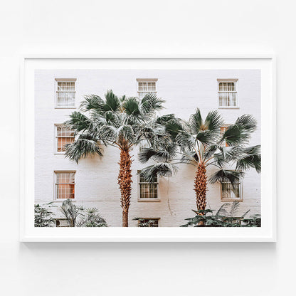 Palm Villa