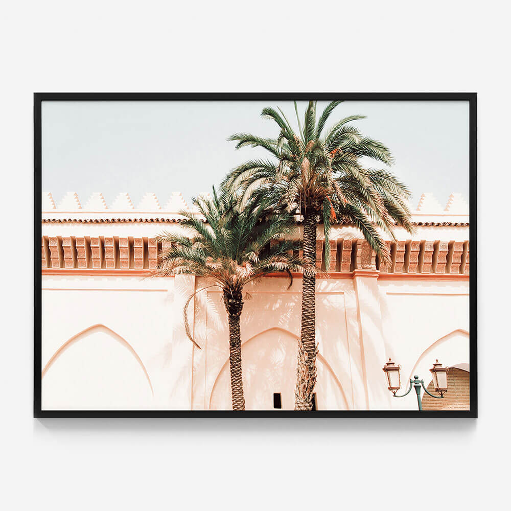 Palm Walls