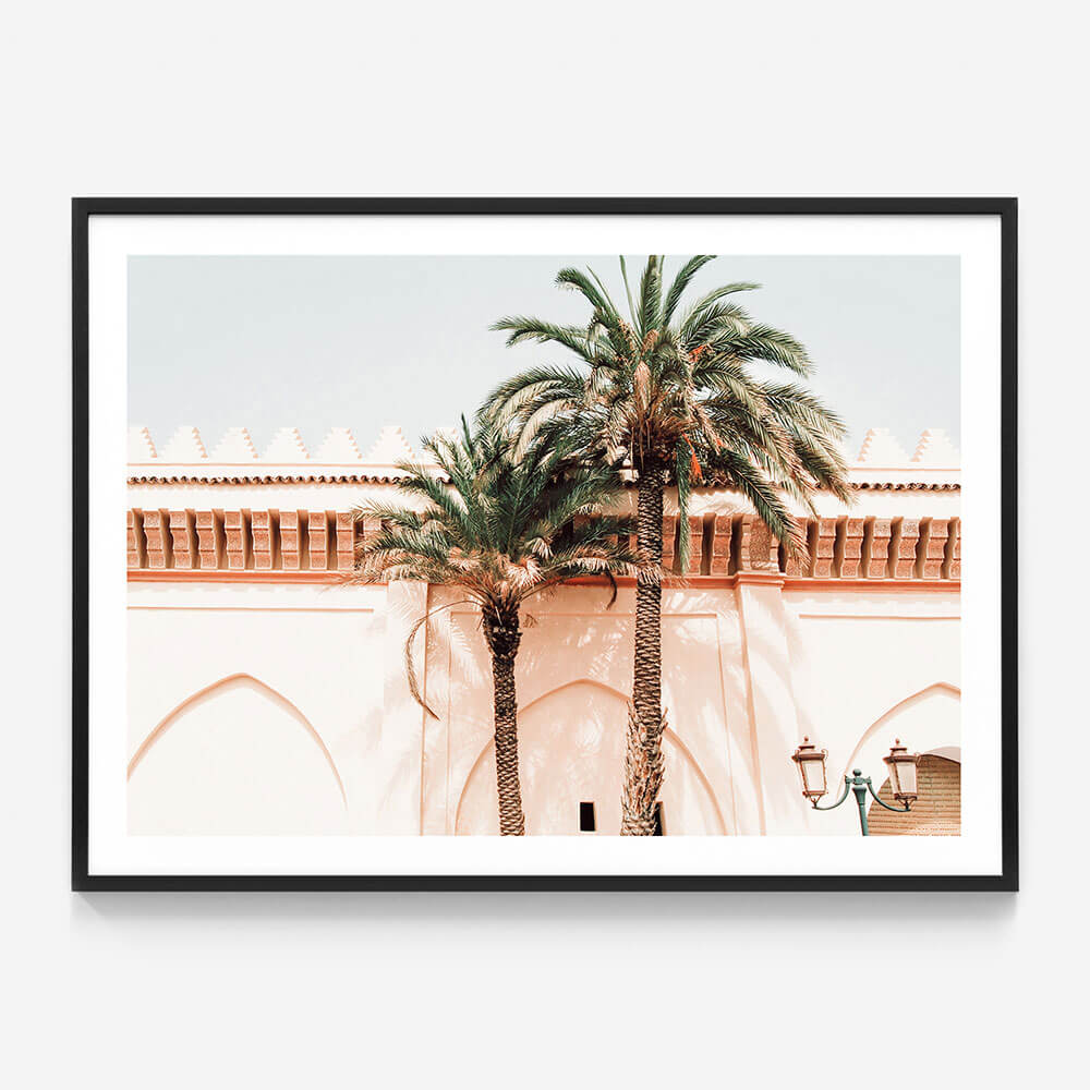 Palm Walls
