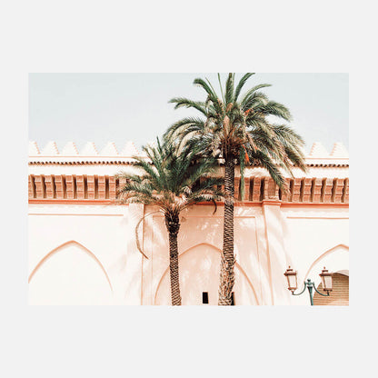 Palm Walls