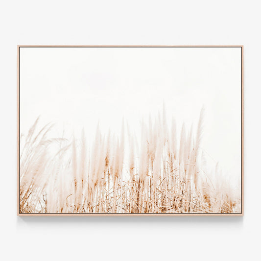 Pampas Canvas wall art with oak float frame
