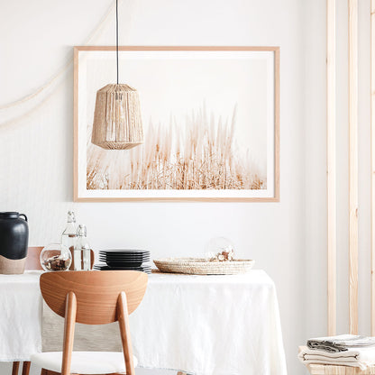 Pampas Grass