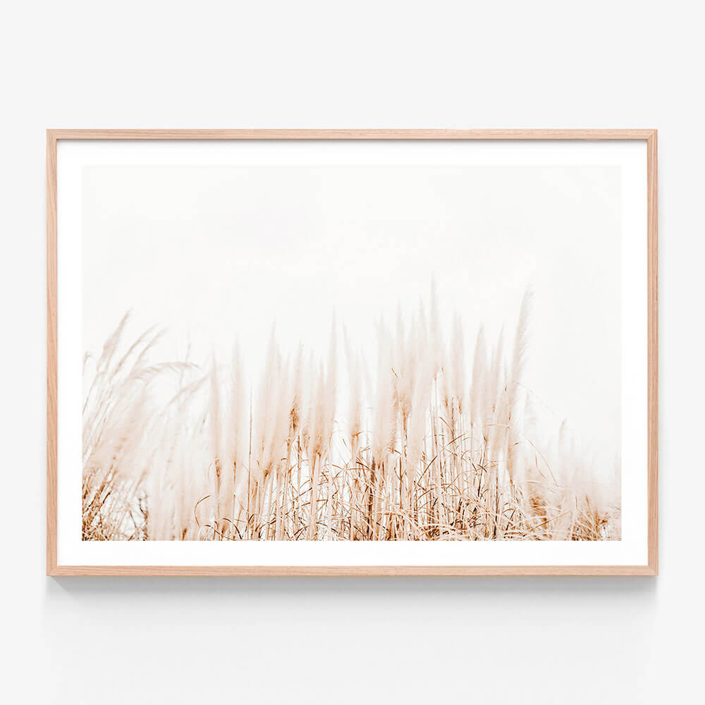 A framed photo wall art print featuring tall, dry grasses in beige and white tones, evoking a coastal or hamptons-style aesthetic.