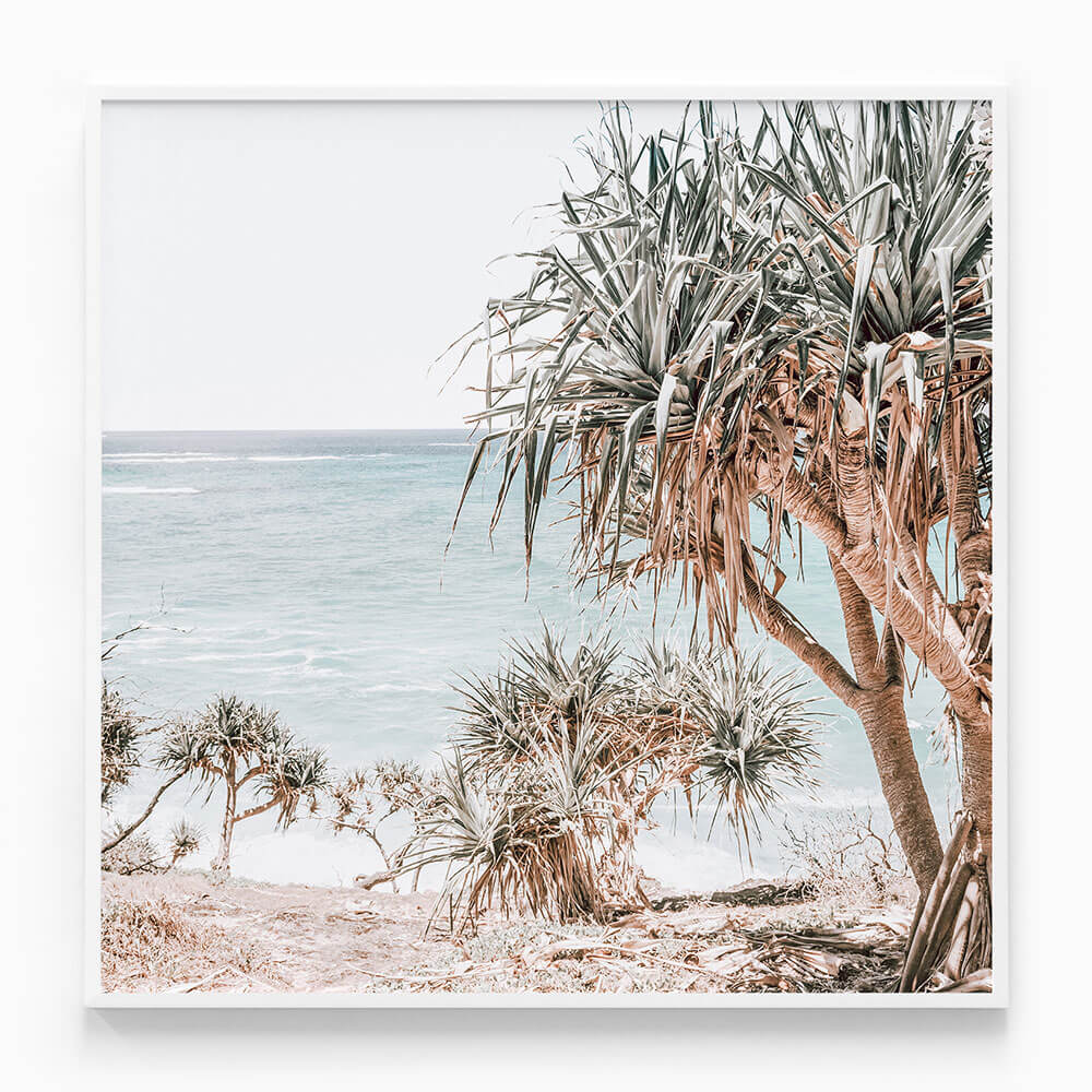 Pandanus Palm