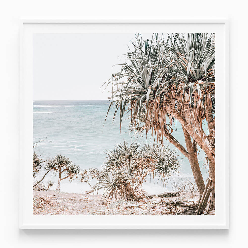 Pandanus Palm