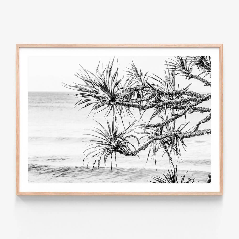 Pandanus View B&W