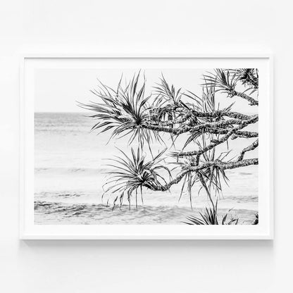 Pandanus View B&W