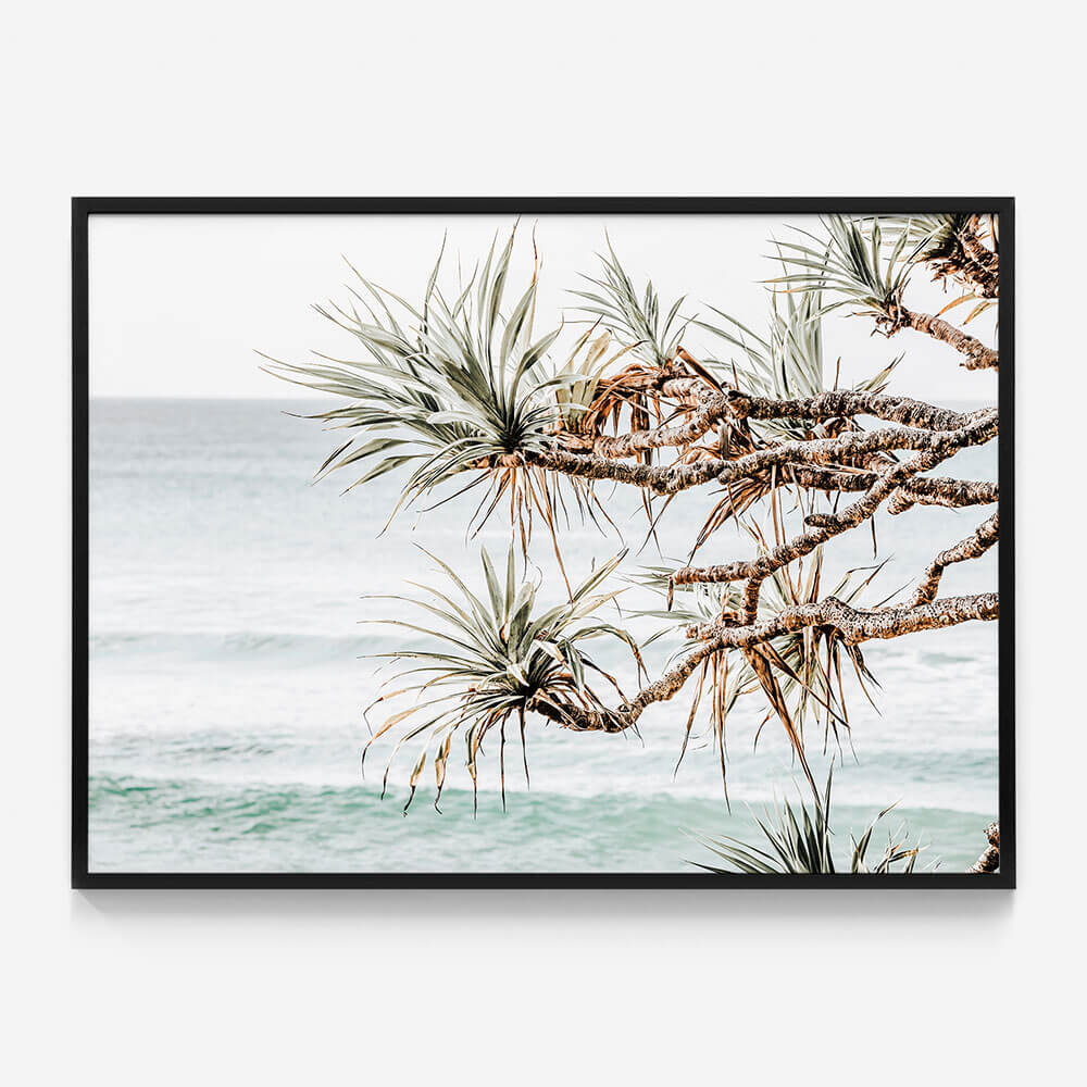 Pandanus View