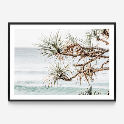 Pandanus View