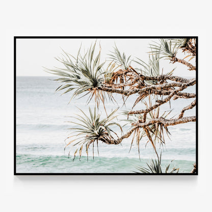 Pandanus View Canvas