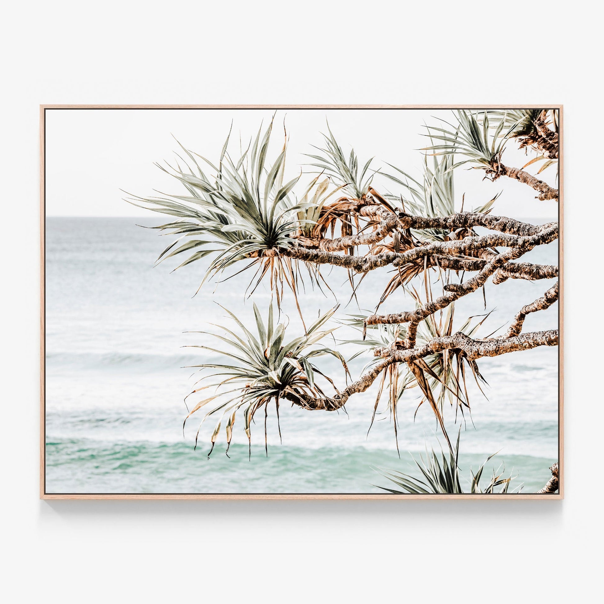 Pandanus View Canvas print in oak frame