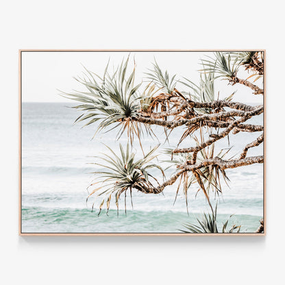 Pandanus View Canvas print in oak frame