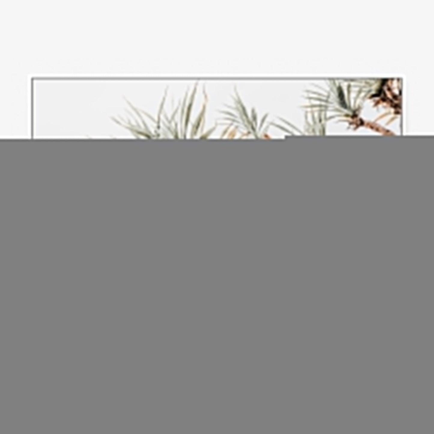 Pandanus View Canvas