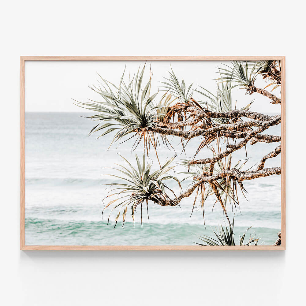 Pandanus View