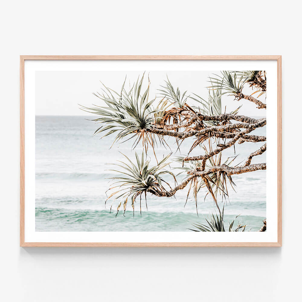 An Australian coastal framed wall art print of pandanus palms on the beach with the ocean in the background
